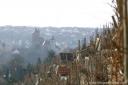 Reportage: Blick auf die Besigheimer Altstadt - fast wie ein Märchenschloss